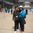 서산초교 이미지