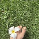 네일드아이 이미지
