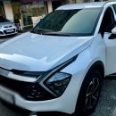 카토피아 손 세차장 이미지