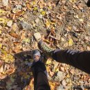 광덕산 등산로 | [천안] 광덕산 등산 후기🍁 ｜10년만에 아빠랑 가을 산행, 정상석 인증까지!