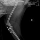 가람메디컬 이미지