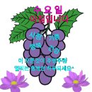 형제개고기
