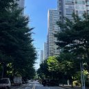 행정용 45번 | [임장] 안양 호계동, 의왕 아파트 | 호계e편한세상·현대홈타운2차, 해모로, 평촌두산위브리버뷰, 7억...