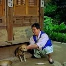 영구와땡칠이