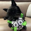 조이코 | 2024년 반가와!