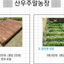 시형농장 네이버블로그