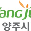남방동 1-1 업무시설 (양주시) | 양주시청 민원실 전화번호 및 업무시간