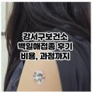 부산 강서구보건소 백일해 예방접종 비용과정 후기