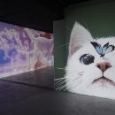 블루아트캣 이미지