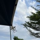 신진도드림 이미지