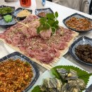 부산향어회 제대로인 안락동 맛집 아 그집향어