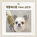 독 블레스 유 이미지