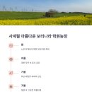 보리나라