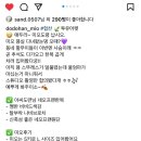 단아한펫 이미지
