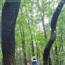 내곡동301 이미지