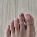 네일약속여서점