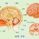 우리아이교육 이미지