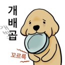 모모애견미용실 이미지