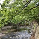 흥국사(매표소 옆) 이미지