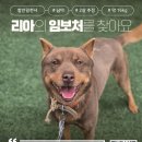 리아/남아/2살 이미지