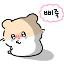 촉석초 앞 이미지