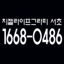 젤라이프 이미지