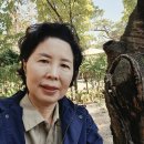 벽제 강강술래늘봄농원 이미지