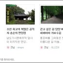 면앙정 이미지