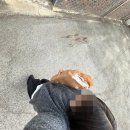 수현다방 | 드디어 태용 전역/가좍들이랑 걸스나잇,그리고 킹키부츠