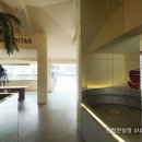 홍대샾