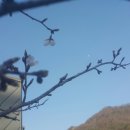 청평옆집언니 이미지