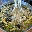 창동로 | 포천 오가국수 배터지는 내돈내산 후기