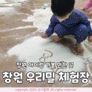 창원 실내 아이랑 가볼 만한 곳 창원 우리밀 체험장예약/시간/정보/후기