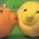 마루양곱창 이미지