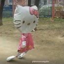 비틀비틀 - 종로구 서순라길 89-7 | 비틀비틀