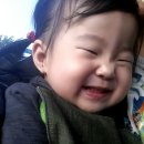 신도정육점