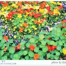 벡스코(시립미술관) 이미지