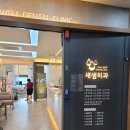 통정11로 이미지