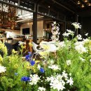 오감식품 이미지