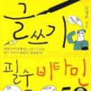 비타민로드