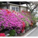 오산동물병원 이미지