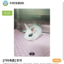 조재진동물병원 이미지