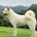 22개월 설이 이미지