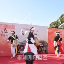 노거수 은행나무 축제의 속삭임 이미지