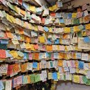 수치(강남-청포횟집) | [신사동 프리미엄 참치전문점 골드참치] 따뜻함이 맛이 되는 집, 재방문율 90%의 비밀