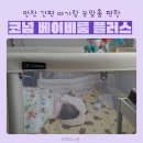 코넘 베이비룸 플러스 조동도 추천 아기가드 사용후기