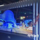 콩카네 이미지
