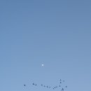 모토쉘터