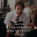 카르페디엠 이미지