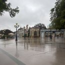 희망의 꿈 | 꿈과 희망의나라 에버랜드 다녀오기 (평일 방문)